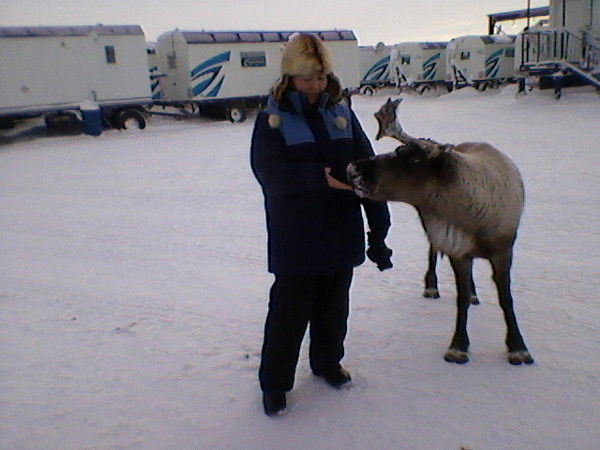 Алма Мамбетакунова