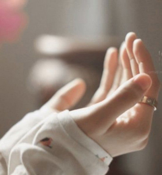 Жибек Садыркулова