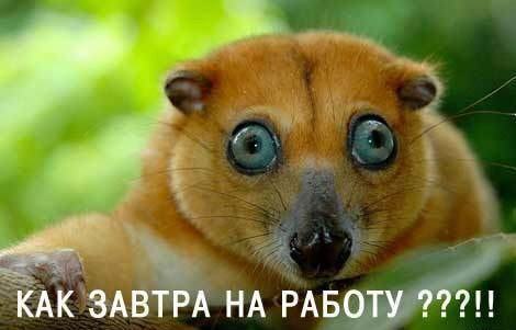 Денис Сушилов