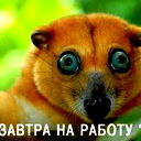 Денис Сушилов