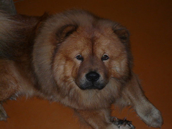 Павел Петров