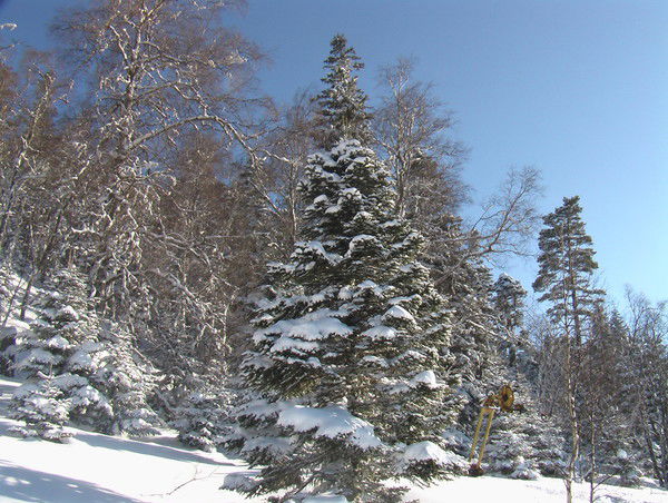 Aлексей Степанович