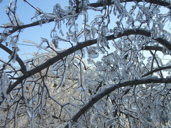 Людмила Ледовская