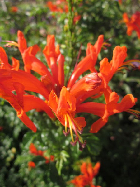 Лидия Калинина