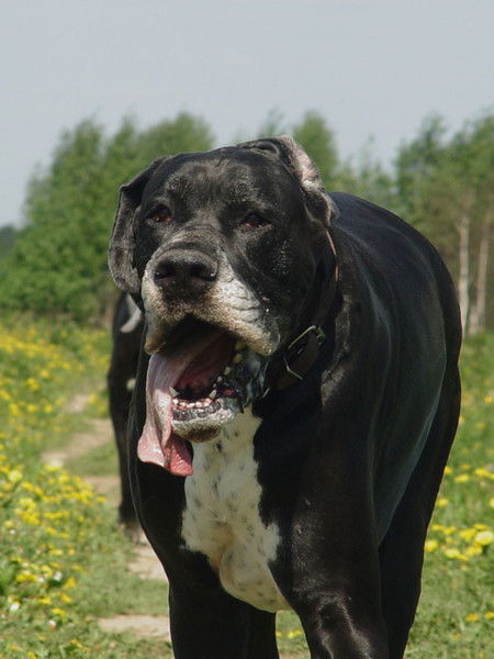 Прохорова Алена