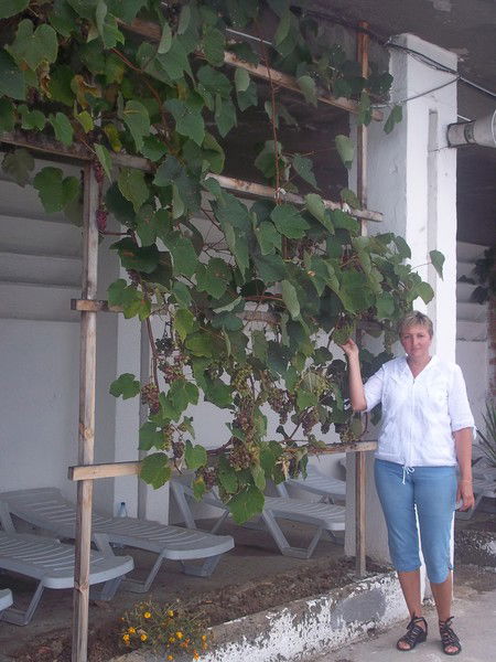 Людмила Рогова