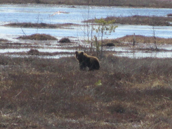 Сагит Сулейманов