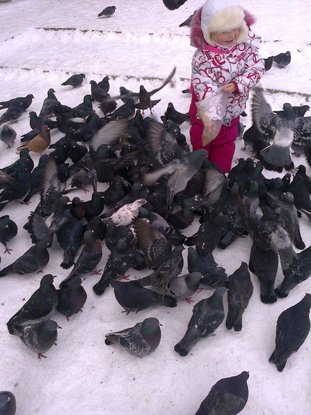 Наташа Кострова