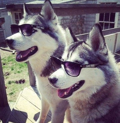 Владислав Стручаев