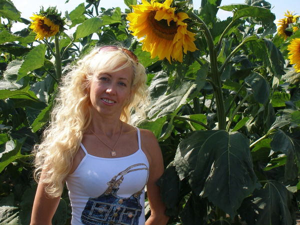 Zlatovlaska Zlatovlaska