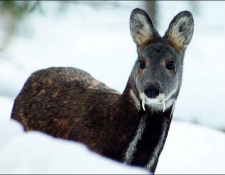Андрей Тутарков