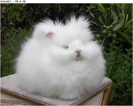 Евгений Ерофайлов