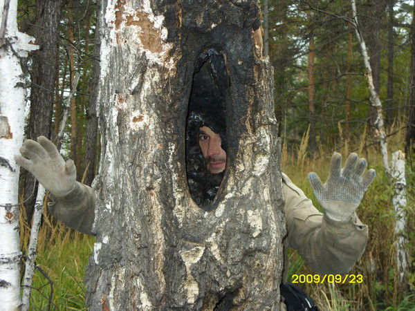 Аркадий Миляев