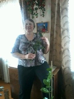 Татьяна Комаровская