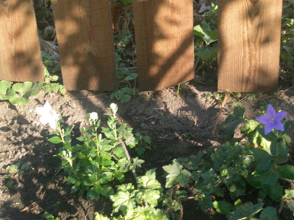 Виталий Никитушкин