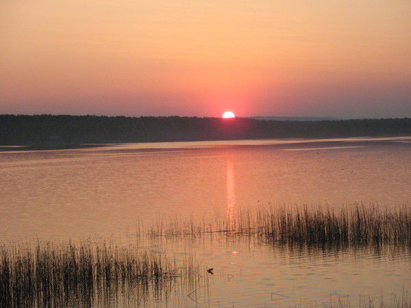 Ольга Добрынина