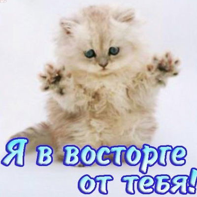 Наталия Решетникова