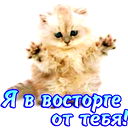Наталия Решетникова