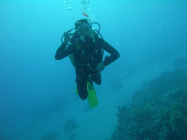 Андрей Харламов