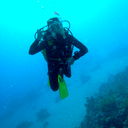 Андрей Харламов