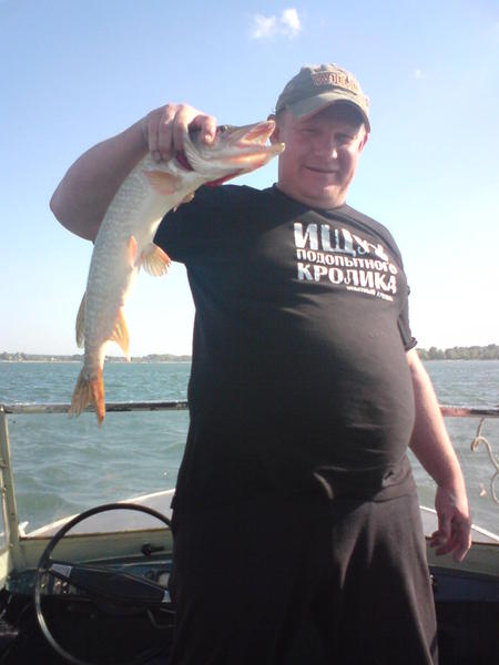 Дмитрий Молчанов