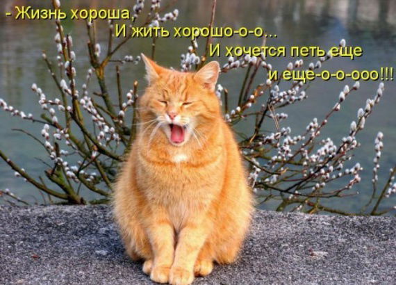 Адиль Жексенгали