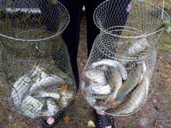 Иван Кузеванов