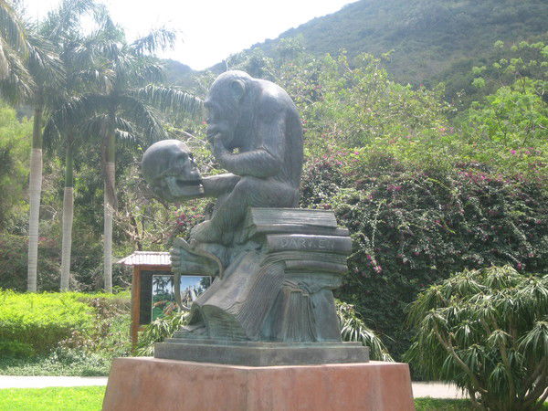 Николай Куклин