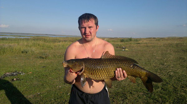 Алексей Сычёв