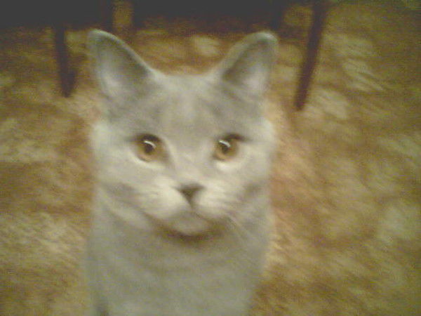 Александр Лавров