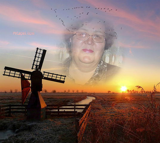 Татьяна Шелковникова