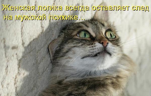 Аврора Аврора