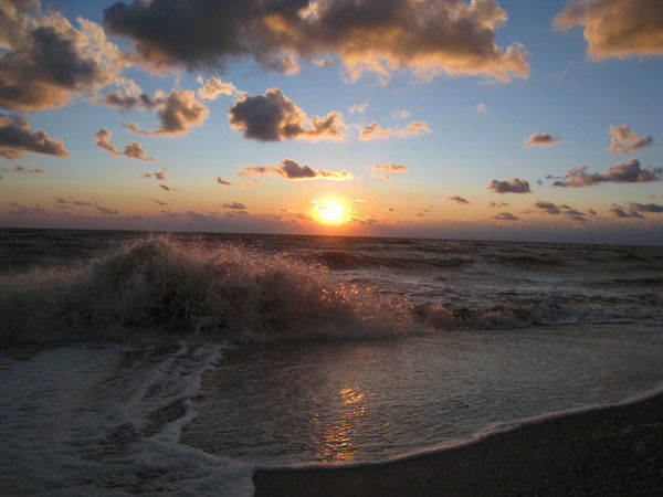 Снежана Шмидт