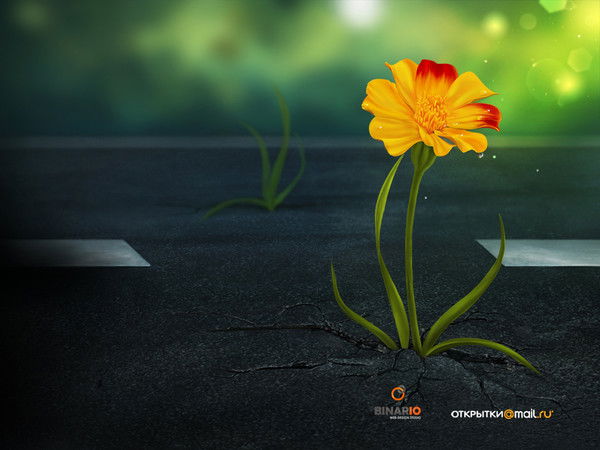 Жанат Абдураманова