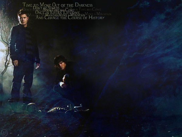 Елена Степанова