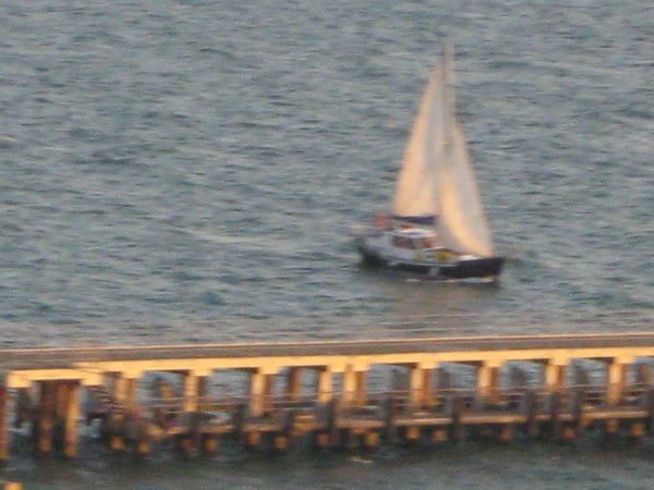 Наталия Ермолаева