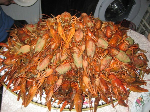 Олександр Дробний