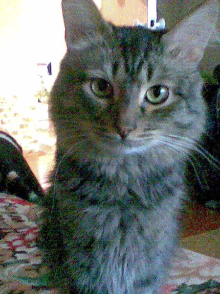 Татьяна Мустафина