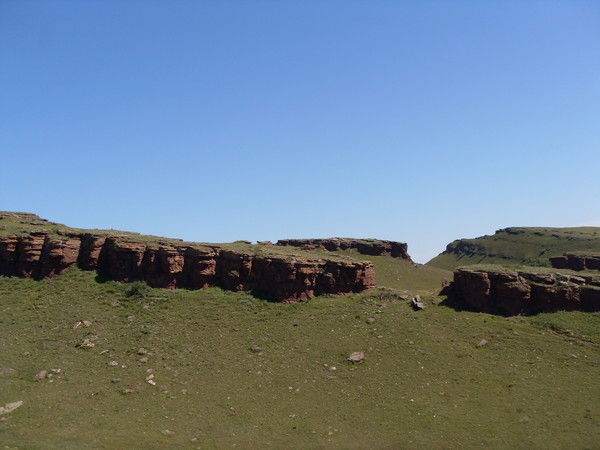 Светлана Пьянкова