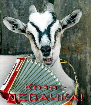 Аля Морозова