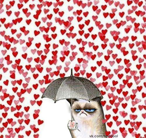 Анастасия Мельникова