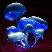 Мухомор Сыроежкин