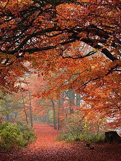 Лена Савощик