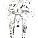 Evgeniy ...