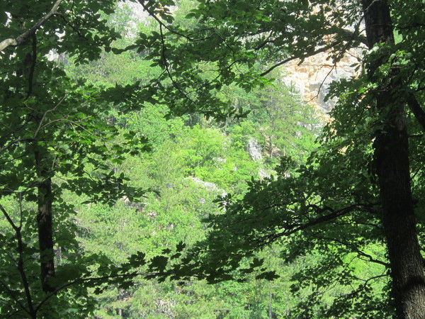 Оксана Гробова