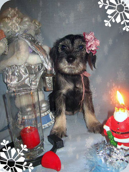 Саша Карабан