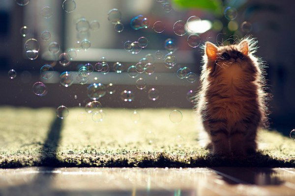 Елена Cелезнева