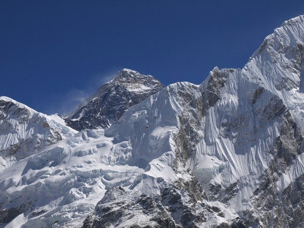 Татьяна Шелег