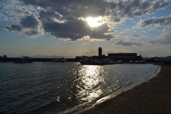 Елена Пешеходова