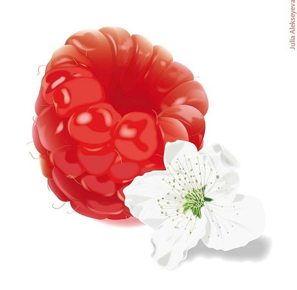 *((Малинка)) *